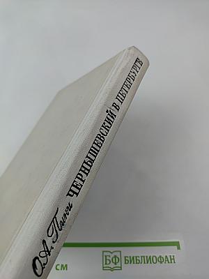 Чернышевский в Петербурге