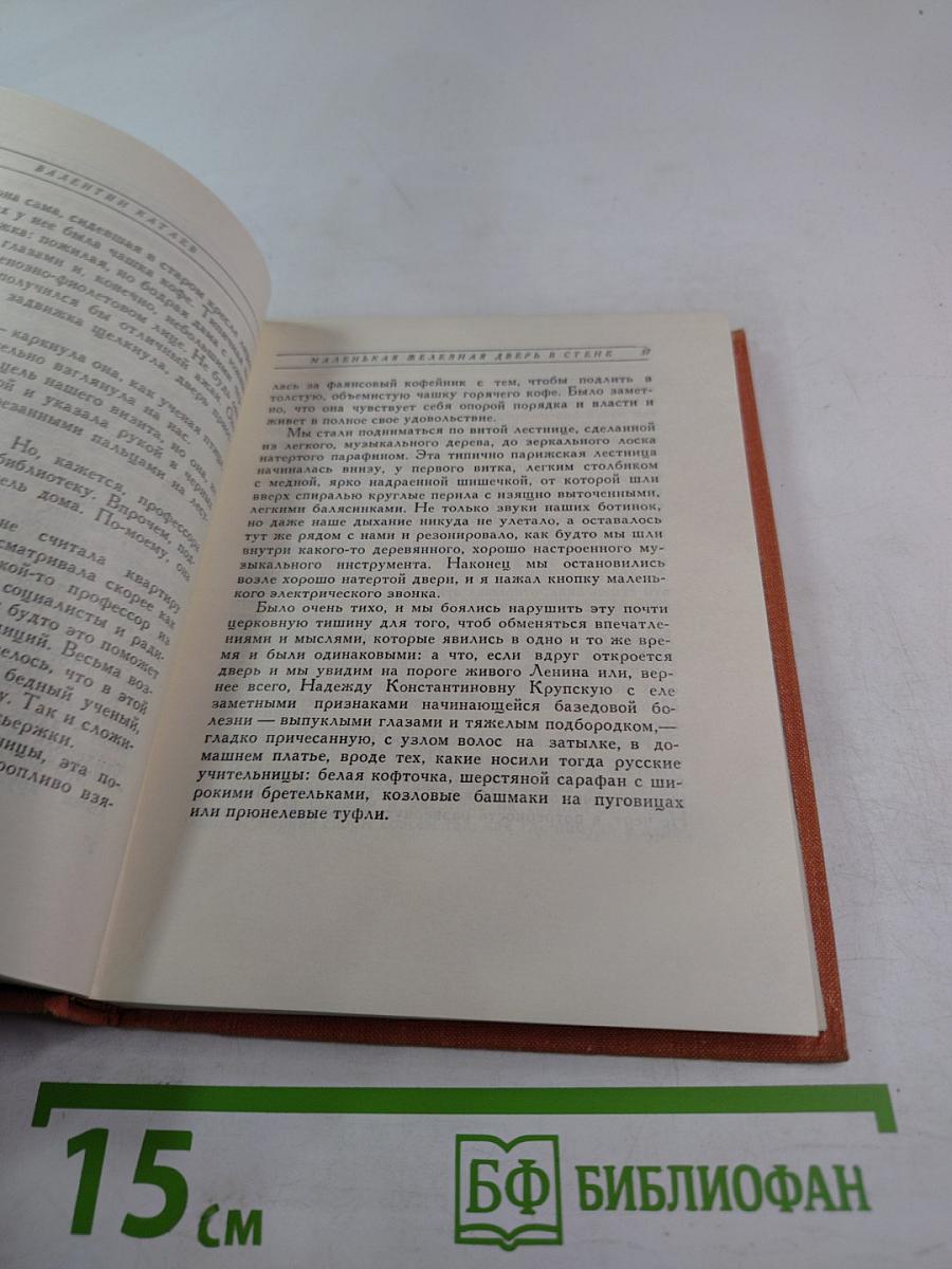 Маленькая Железная Дверь в Стене