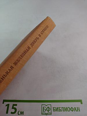 Маленькая Железная Дверь в Стене