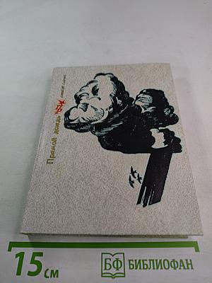 Прямой дождь