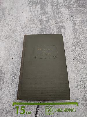 Ф.И. Тютчев. Лирика. Том II