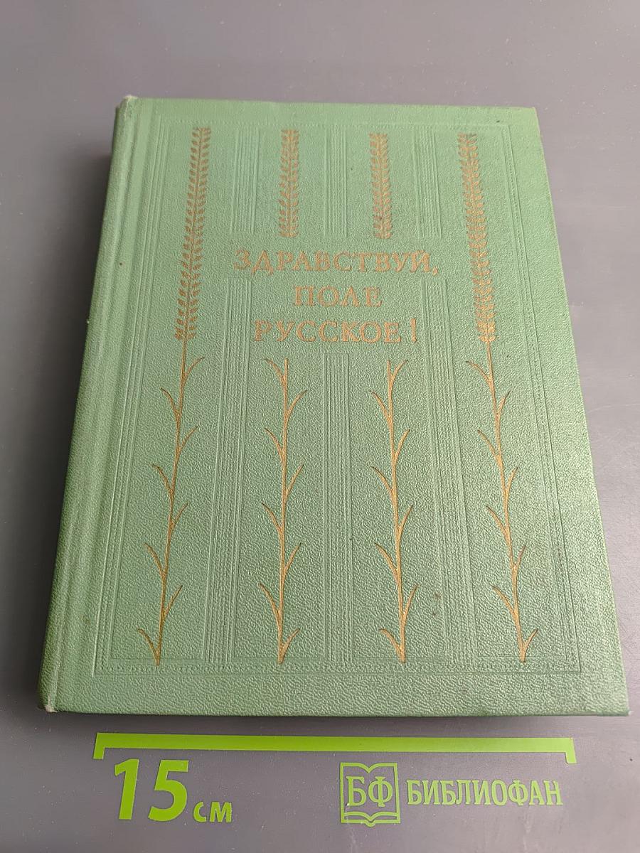 Здравствуй, поле русское!
