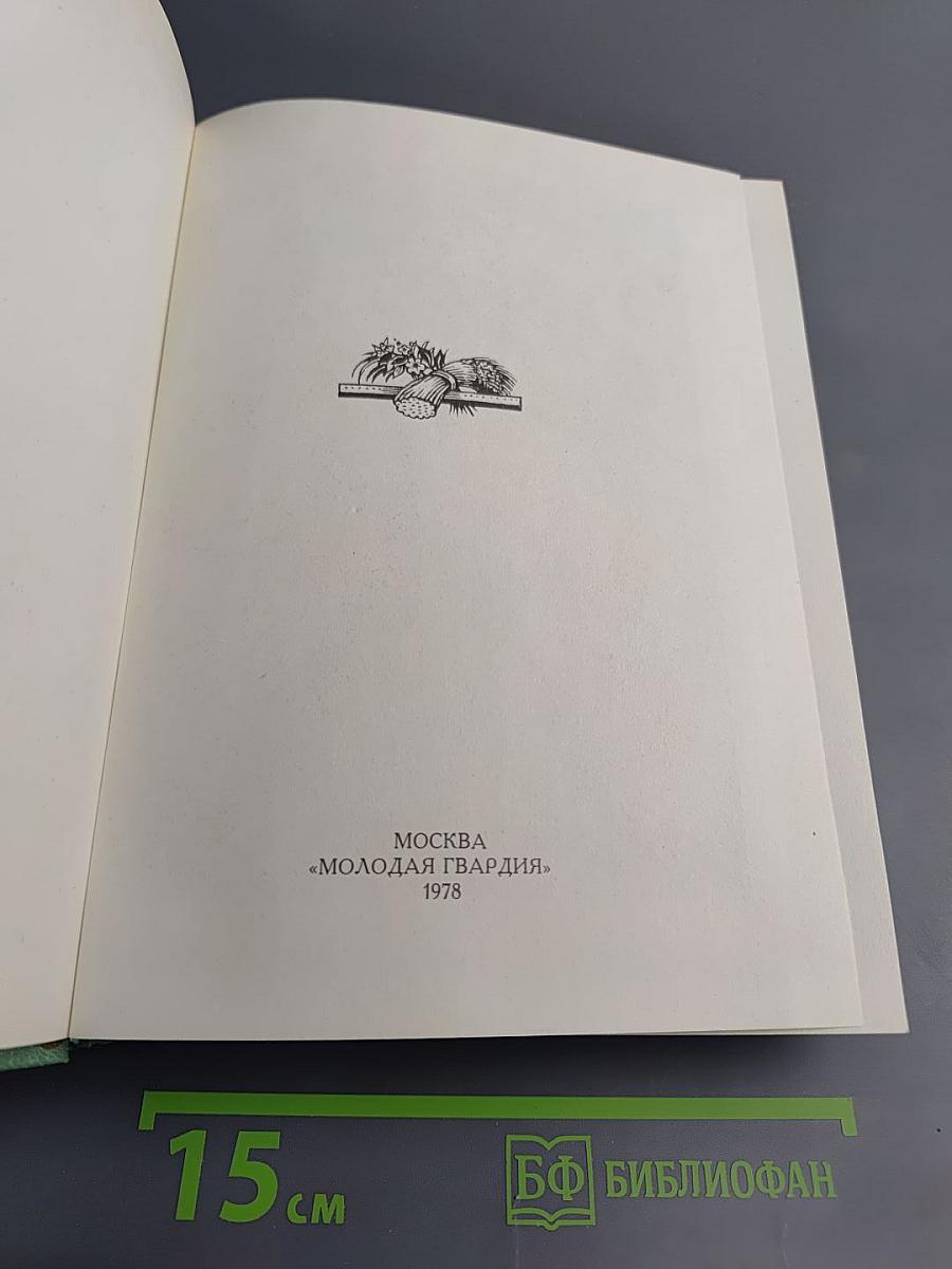 Здравствуй, поле русское!