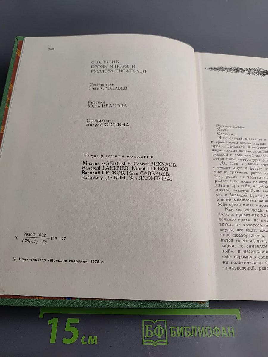 Здравствуй, поле русское!