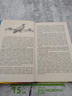 Пустыня как она есть