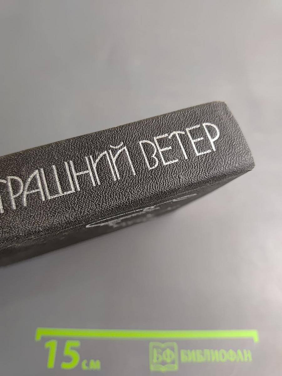 Завтрашний ветер