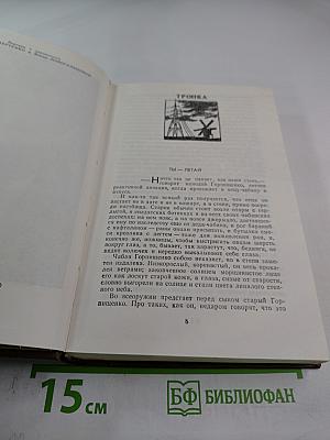 Тронка. Циклон