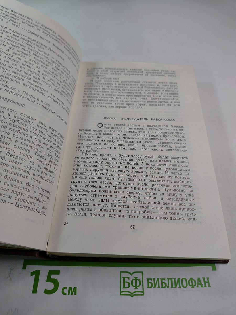 Тронка. Циклон