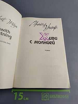 Живи с молнией