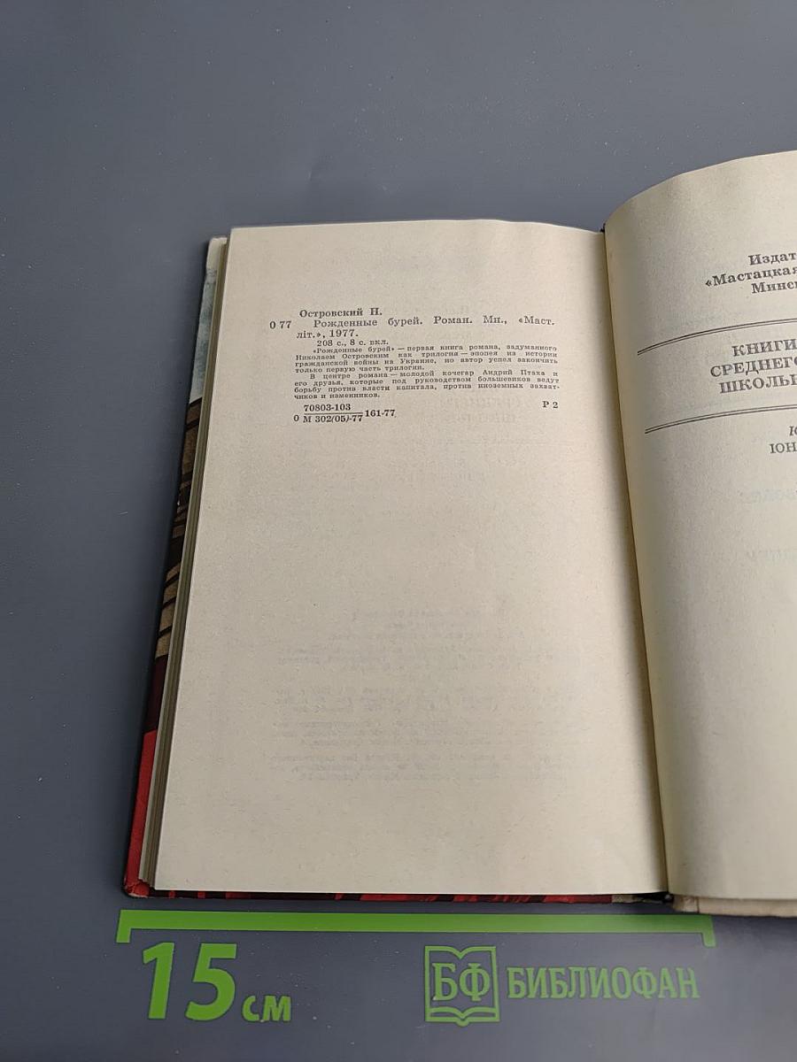 Рожденные бурей (Книга первая)