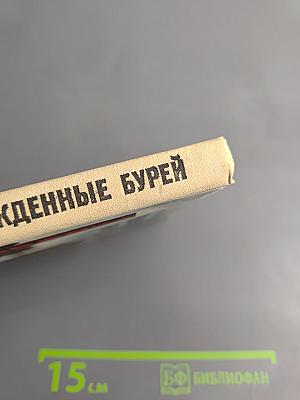 Рожденные бурей (Книга первая)