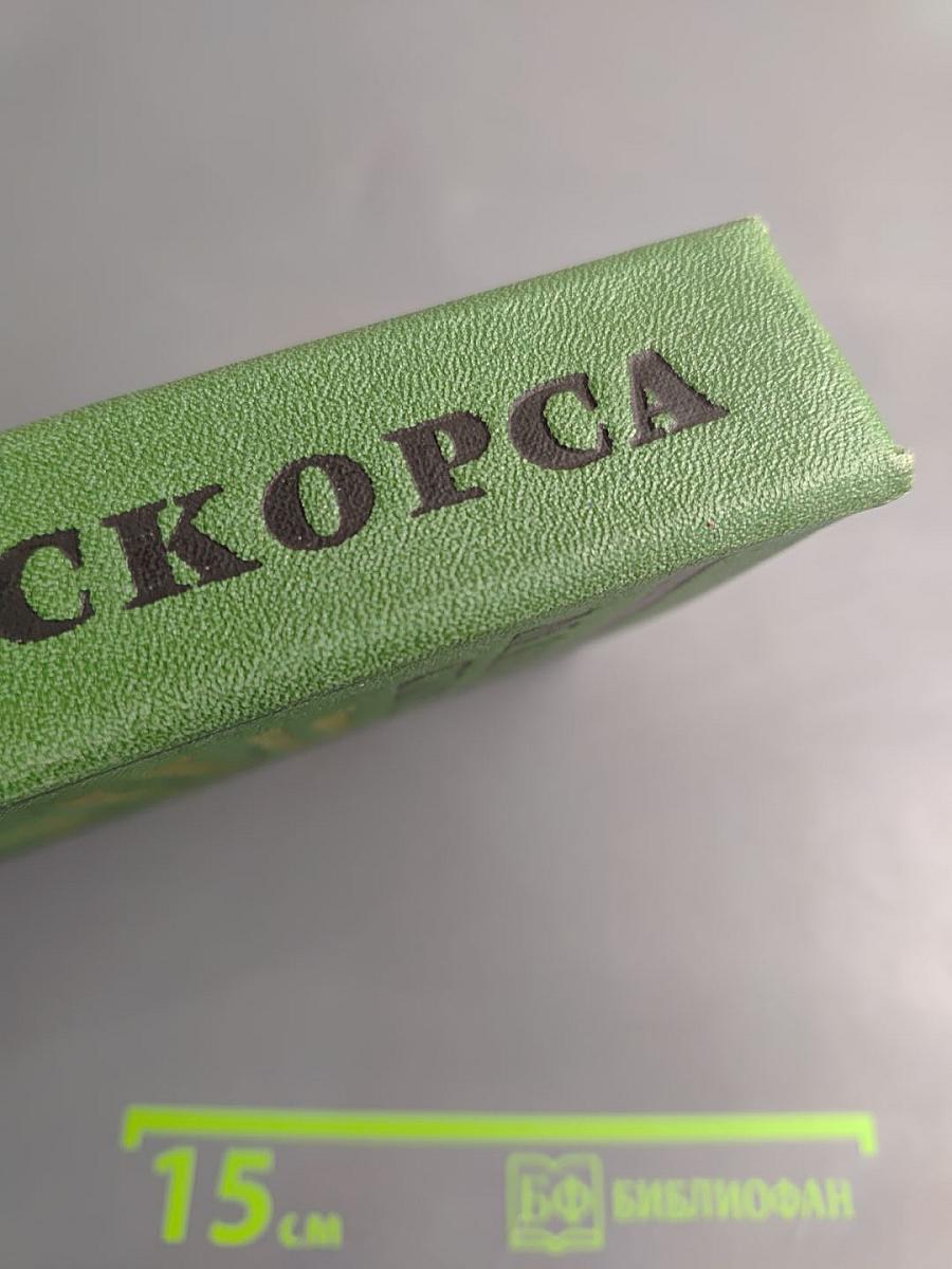 Мануэль Скорса. Траурный марш по селенью Ранкас. Гарабомбо-Невидимка. Бессонный всадник. Сказание об Агапито Роблесе