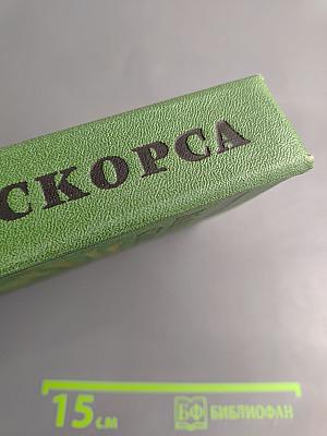 Мануэль Скорса. Траурный марш по селенью Ранкас. Гарабомбо-Невидимка. Бессонный всадник. Сказание об Агапито Роблесе