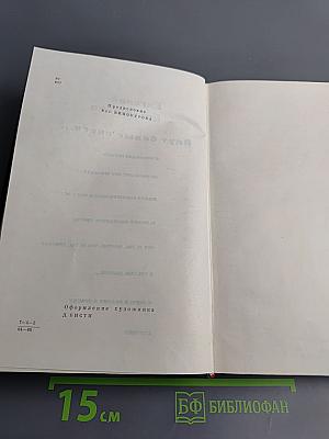 Идут белые снеги...