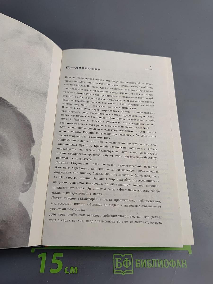 Идут белые снеги...