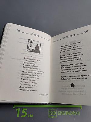 Стихи без названий