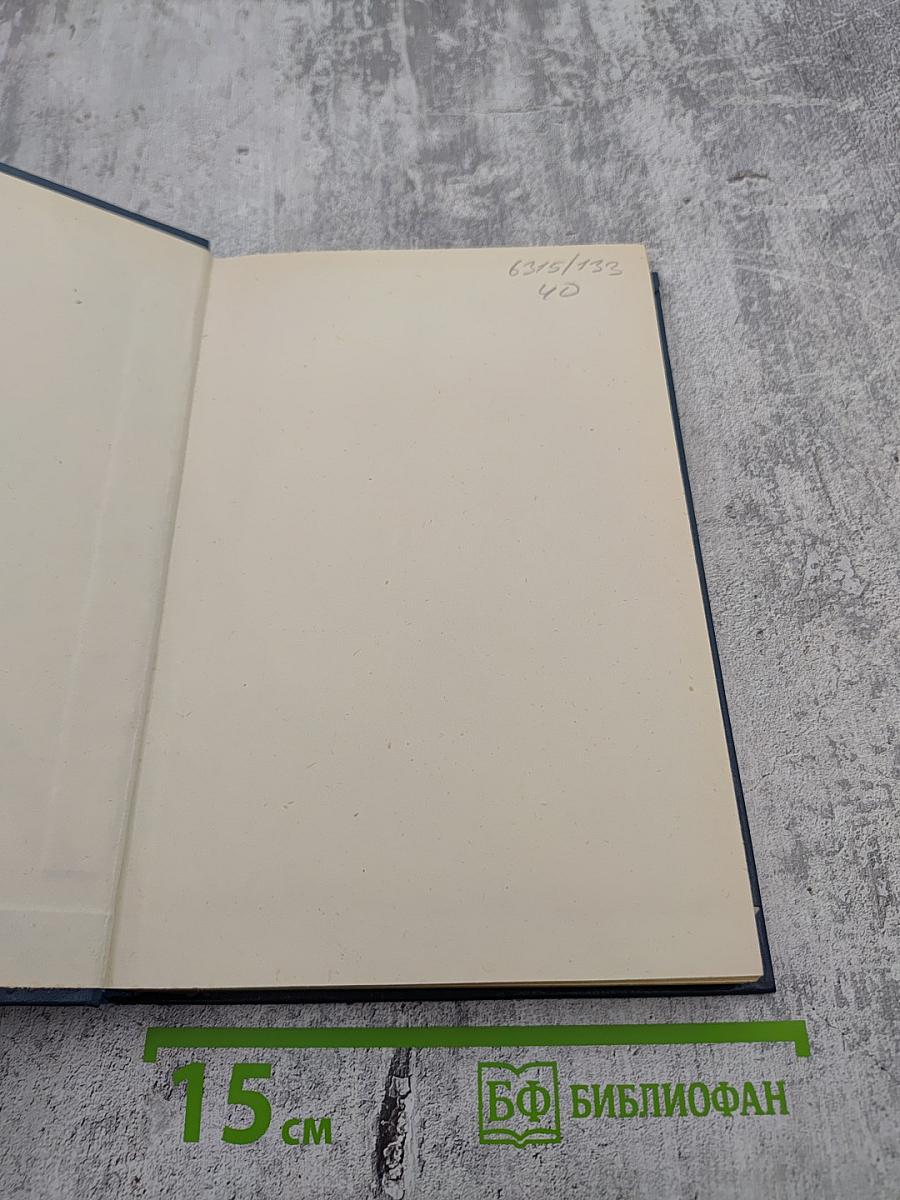 Сатиры Смелый властелин. Книга о Д. И. Фонвизине