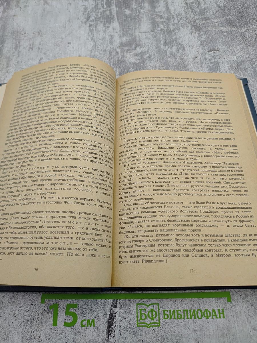 Сатиры Смелый властелин. Книга о Д. И. Фонвизине