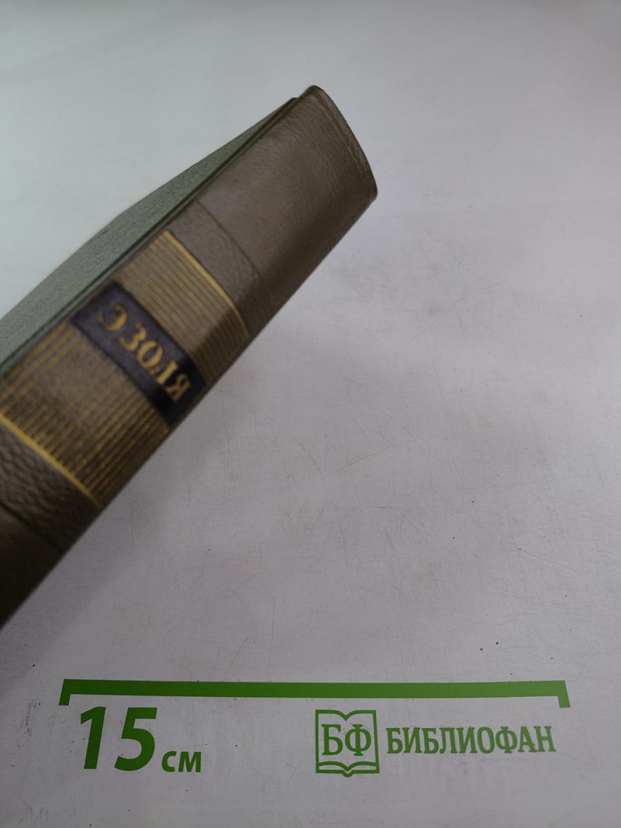 Собрание сочинений. Том девятнадцатый. Три города. Париж