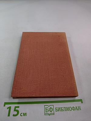 Солнечный дождь