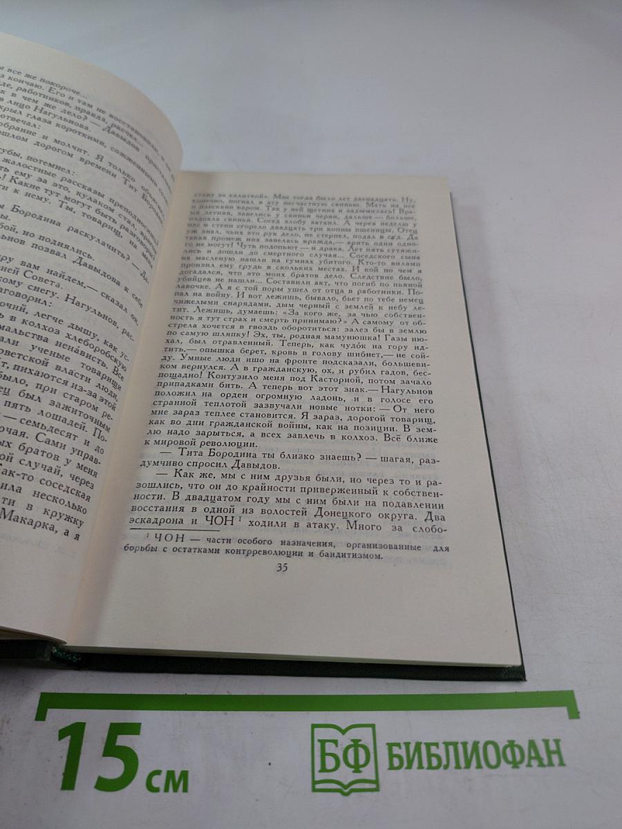 Поднятая целина. Роман в двух книгах. Том V