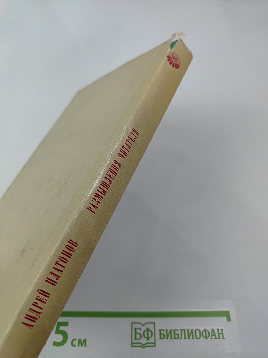 Размышления читателя