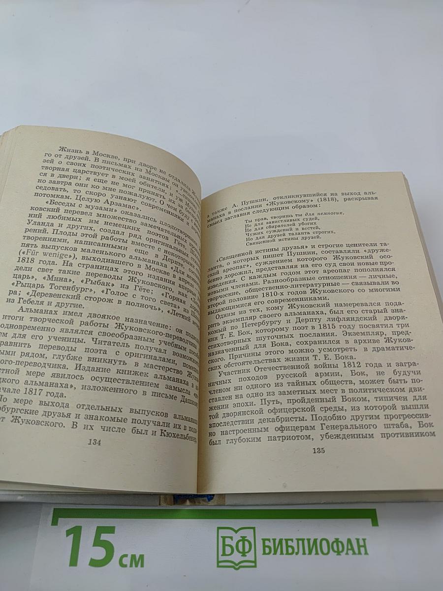 Жуковский в Петербурге