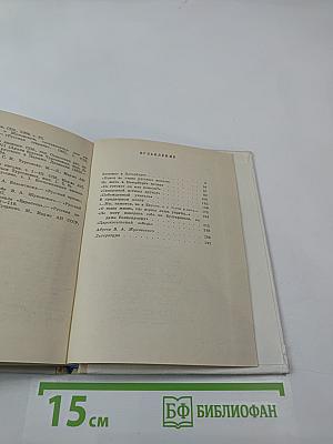 Жуковский в Петербурге