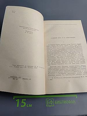 Ледяной дом