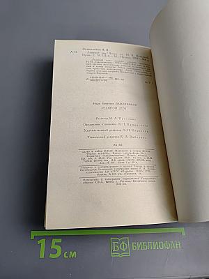 Ледяной дом