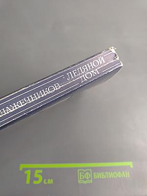 Ледяной дом