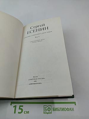 Собрание сочинений в двух томах. Том 2. Стихотворения, проза, статьи, письма