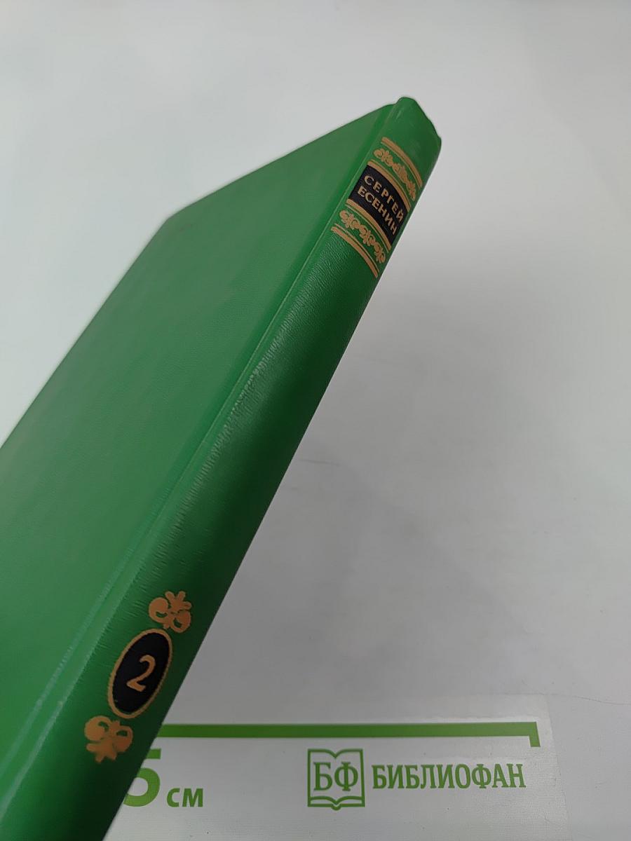 Собрание сочинений в двух томах. Том 2. Стихотворения, проза, статьи, письма