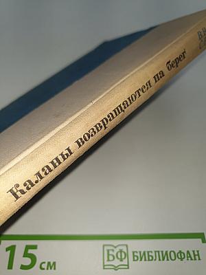 Каланы возвращаются на берег