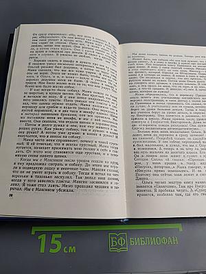 Голубой мост / Die blaue Brücke