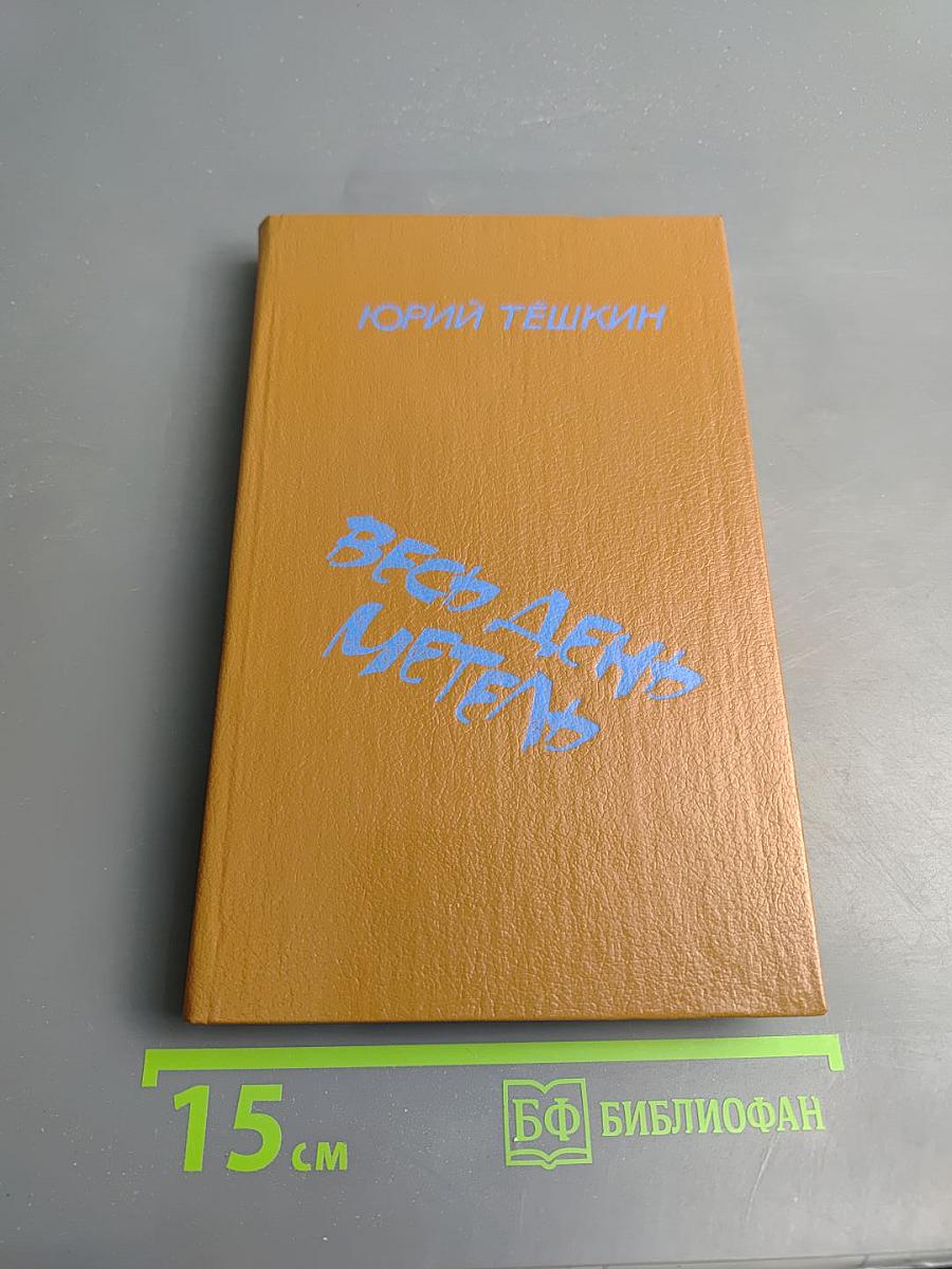 Весь день метель