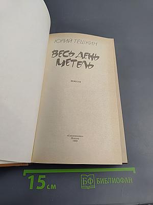 Весь день метель