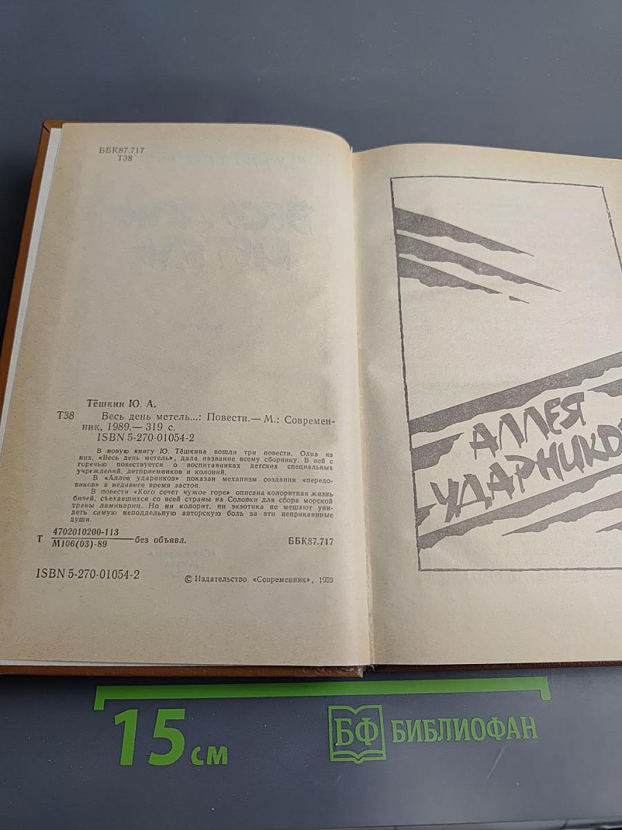 Весь день метель