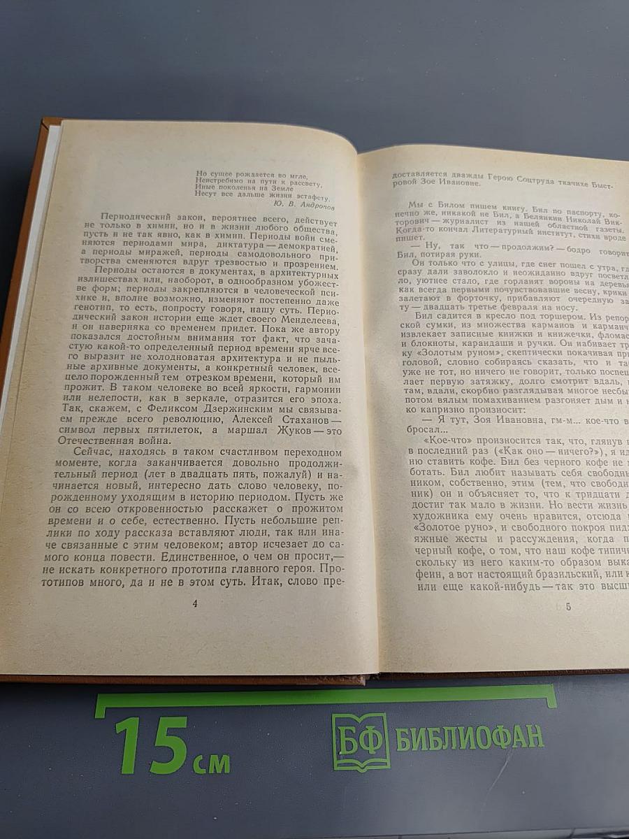 Весь день метель