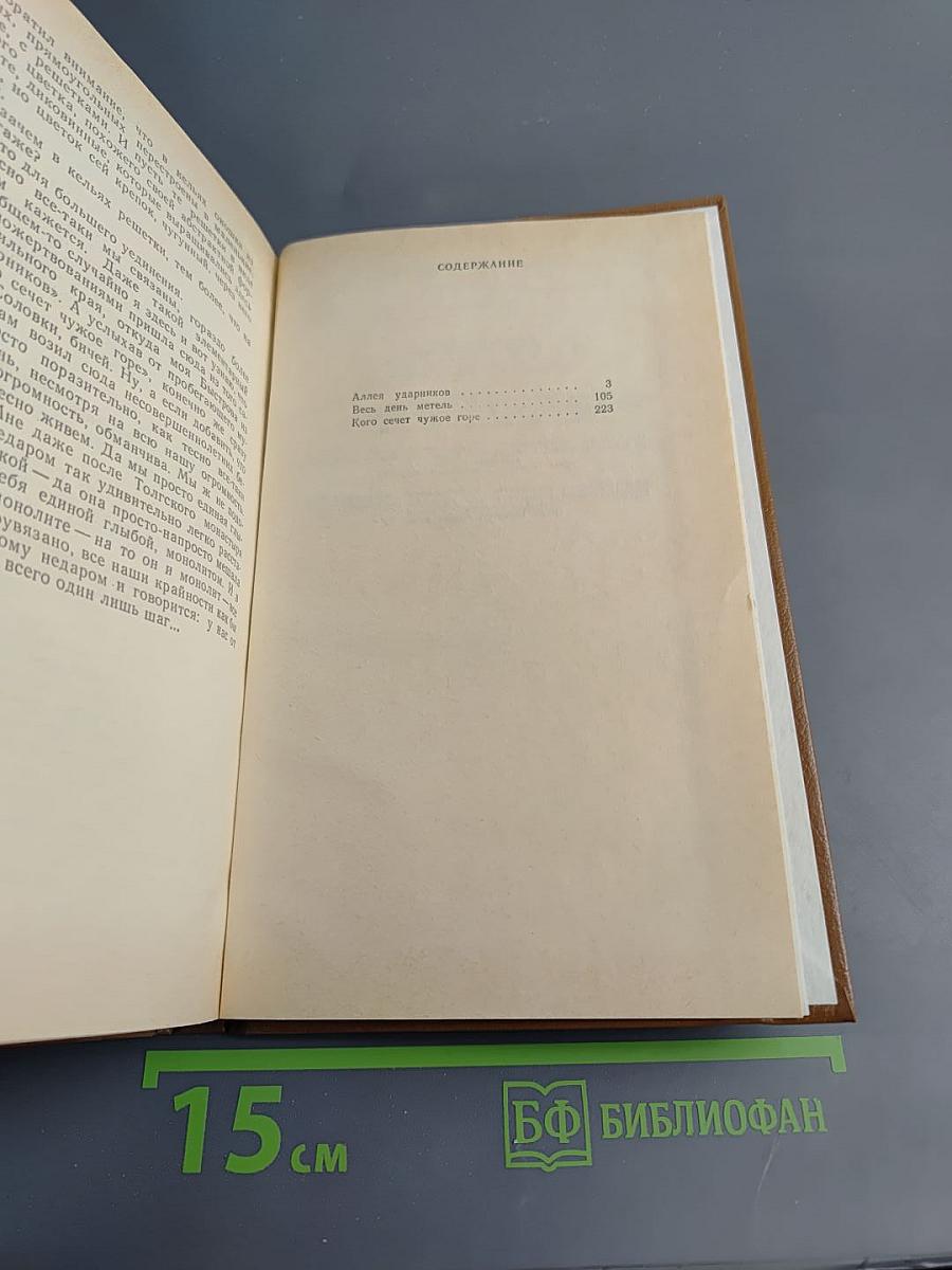 Весь день метель