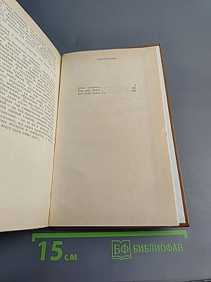 Весь день метель