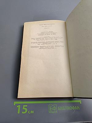 Весь день метель