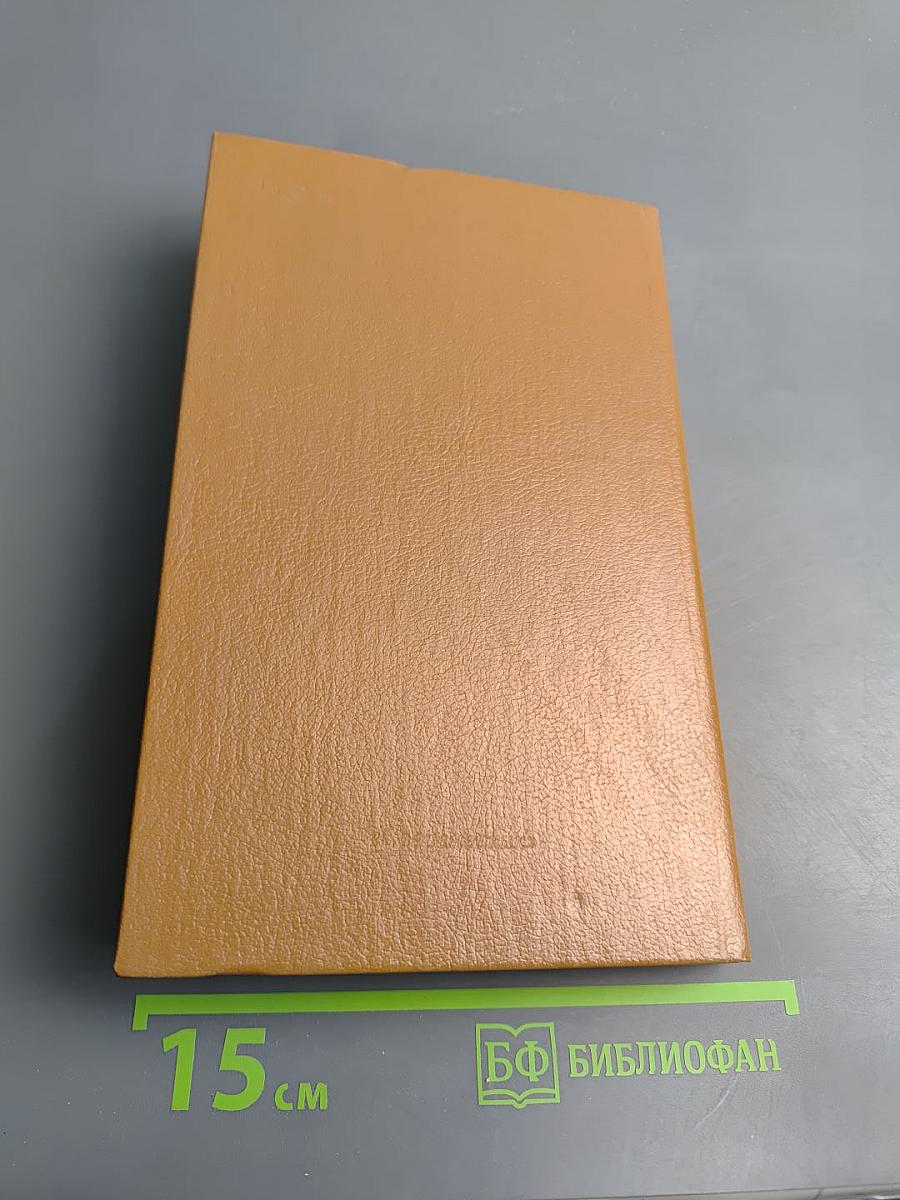 Весь день метель