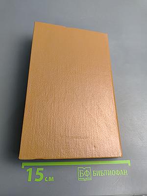 Весь день метель