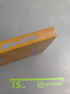 Весь день метель