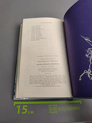 Михаил Юрьевич Лермонтов. Очерк жизни и творчества
