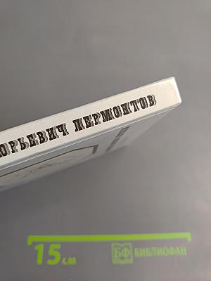 Михаил Юрьевич Лермонтов. Очерк жизни и творчества