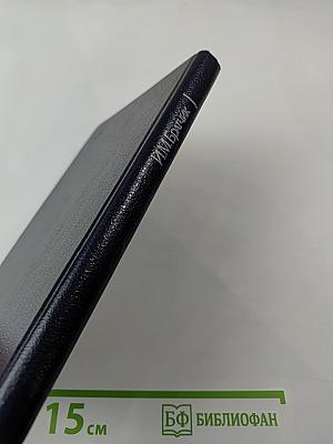 Конструирование женских пальто сложных форм и покроев