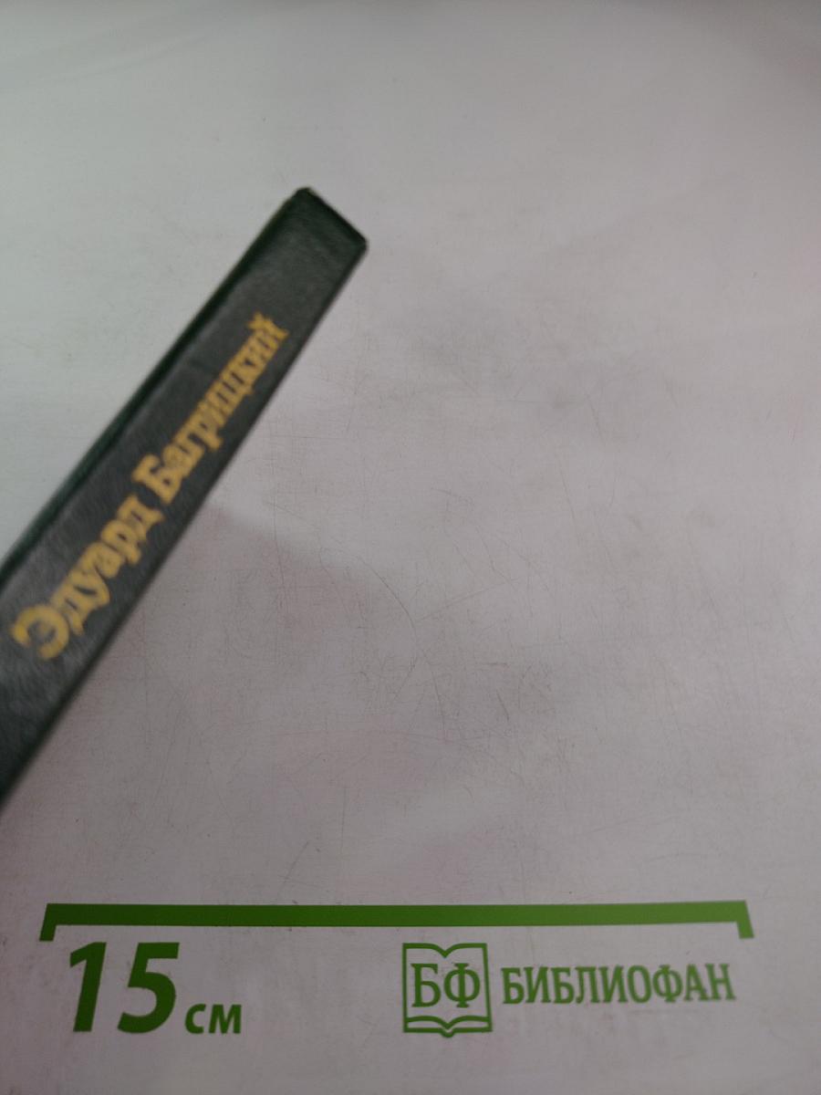 Эдуард Багрицкий. Стихотворения и поэмы