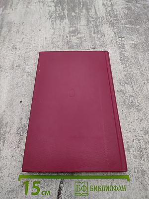 Двойная игра